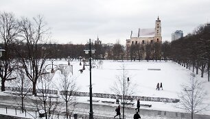 Luki&scaron;kių aik&scaron;tė