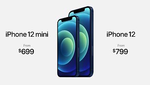 &bdquo;iPhone 12&ldquo; kainos