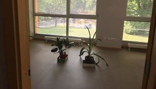 Registrų centro pastatas Druskininkuose