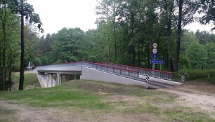 Tiltas per Baltąją Ančią