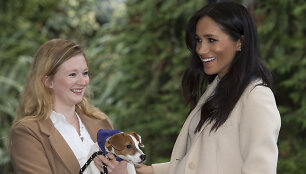 Meghan Markle 