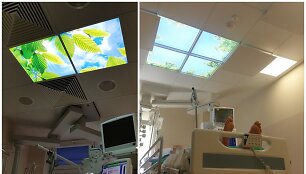 Virtualūs langai