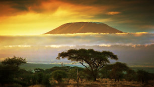Kilimandžaras