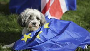 Tūkstantis &scaron;unų su &scaron;eimininkais Londone protestavo prie&scaron; &bdquo;Brexit&ldquo;