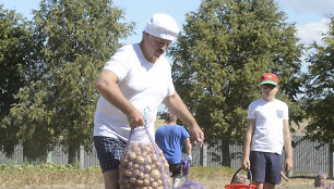 Aliaksandras Luka&scaron;enka renka bulves