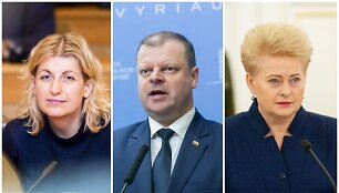 Liana Ruokytė-Jonsson, Saulius Skvernelis, Dalia Grybauskaitė