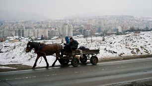 Arklio tempiamas vežimas Bulgarijos sostinės priemiestyje