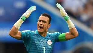 Essamas El Hadary