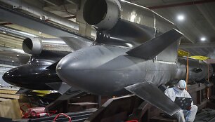 Ukrainos raketa &bdquo;Flamingo&ldquo;