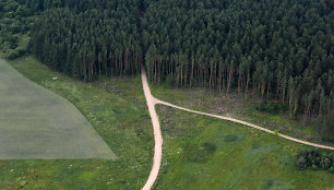 Lietuvos miškai iš paukščio skrydžio