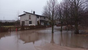 Potvynis Zujūnuose, Žaliojoje gatvėje