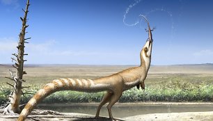 Dinozauras Sinosauropteryx