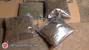 Sulaikytos kanapės