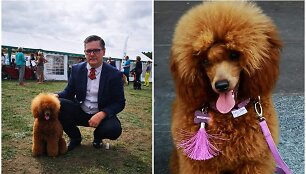 Jonas Gibavičius kartu su žmona Dalia augina nyk&scaron;tukinius pudelius