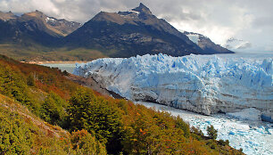 Argentina, ledynas Patagonijoje