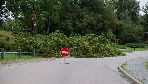 Stiprus vėjas Vilniuje varto daiktus