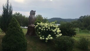Konkurso &bdquo;Mano kiemas&ldquo; dalyvių Sasnauskų sodyba
