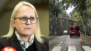 Ligita Girskienė, audra