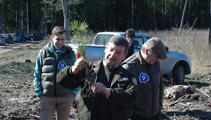 Medelių sodinimas Trakuose. Organizatorių nuotr.