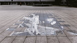 I&scaron;blukęs pie&scaron;inys nedomina panevėžiečių