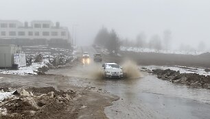 Bendorėlių 1-oji al.