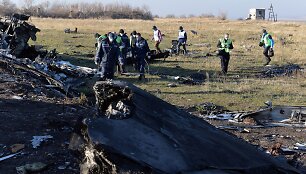 Nyderlandų ir ESBO ekspertai &bdquo;Malaysia Airlines&ldquo; lėktuvo katastrofos vietoje