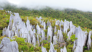 Gunung Mulu