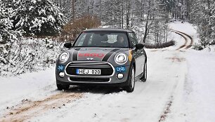 &bdquo;Metų automobilis 2015&ldquo; rinkimai