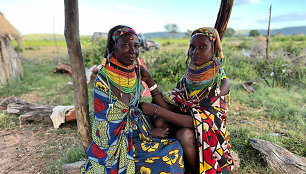 Mumuila gentis