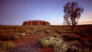 Uluru uola Australijoje 