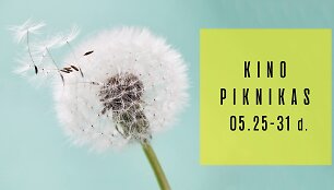 &bdquo;Kino piknikas&ldquo;