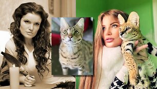 Gražina Asipauskaitė
