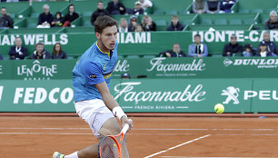 Pablo Carreno Busta