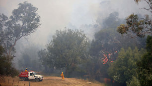 Australijoje suvaldytas milžiniškas gaisras