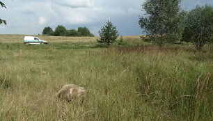 Įvykio vietoje