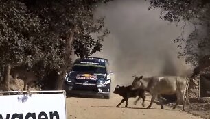 Sebastienas Ogier