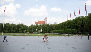 Piketas dėl laisvės kovų monumento statybos