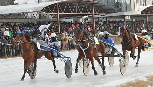 Žirgų lenktynės „Sartai 2014“ 2014 m. vasario 01 d. 