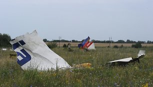 Numušto „Malaysia Airlines“ lėktuvo nuolaužos Donecke, Ukrainoje.