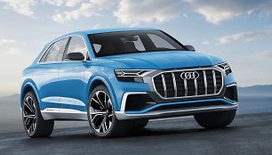 „Audi Q8“