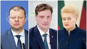 Saulius Skvernelis, Kęstutis Mažeika, Dalia Grybauskaitė