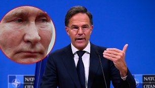 Vladimiras Putinas ir Markas Rutte