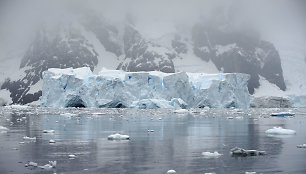 Antarktidos ledas