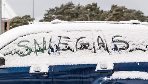 Vilniuje viskas pasidengė puriu sniegu