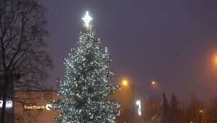 Ukmergės Kalėdų eglė