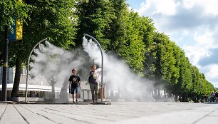 Laisvės alėjoje Kaune įrengta dulksnos stotelė