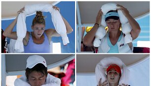 Australian Open varžybos