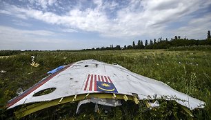 Numušto „Malaysia Airlines“ lėktuvo nuolaužos Donecke, Ukrainoje.