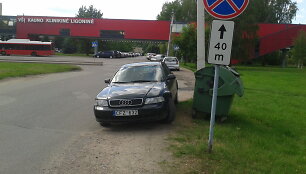 Netilpo
