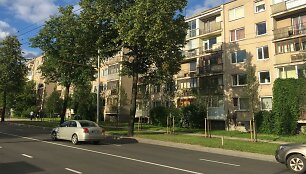 Naujai pasodinti medžiai Antakalnio gatvėje